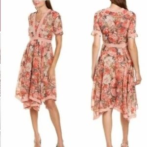Anthropologie Ranna Gill Rose Bouquet Asymmetrical Hem Chiffon Dress Sz 4